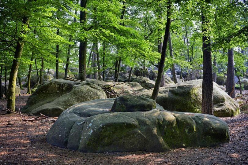Maison De Charme En Foret De Fontainebleau Recloses Exterior photo